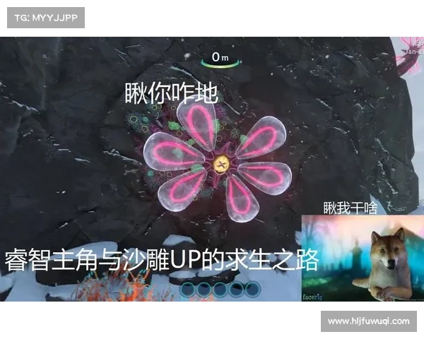 深入极寒海底,追寻迷航之谜(深入极寒海底:寻踪迷航之谜) 深入极寒海底,追寻迷航之谜(深入极寒海底:寻踪迷航之谜)